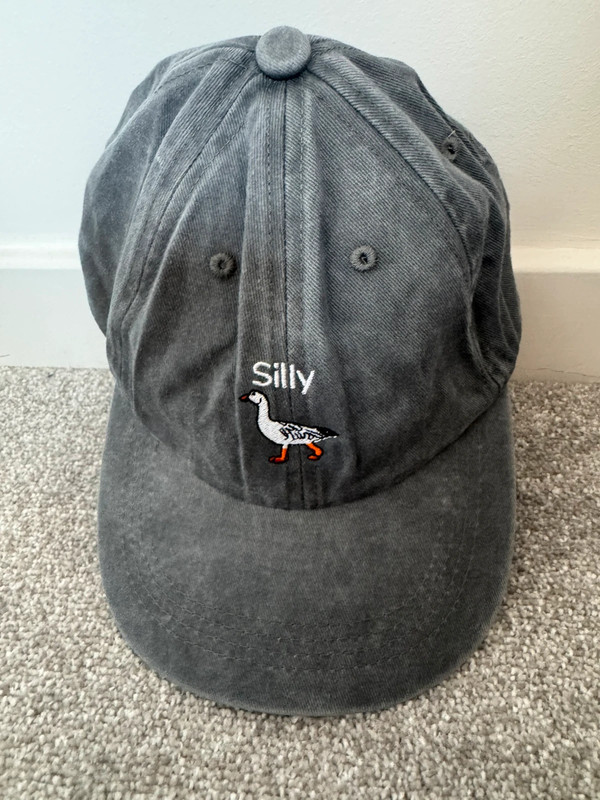 Silly Goose Cap Baseball Grey