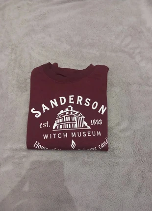 Pull/Sweat Vintage Bordeaux Imprimé Sanderson, staat: Heel goed, maat: S, € 9,00, € 10,15 inclusief Kopersbescherming