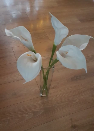Vase verre transparent + arums, état: Très bon état, 5,00 €, 5,95 € Protection acheteurs incluse