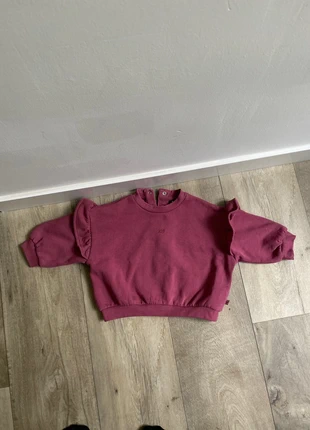 Truitje, merk: BABY Blue, staat: Goed, maat: 12-18 maanden / 80 cm, € 1,00, € 1,75 inclusief Kopersbescherming