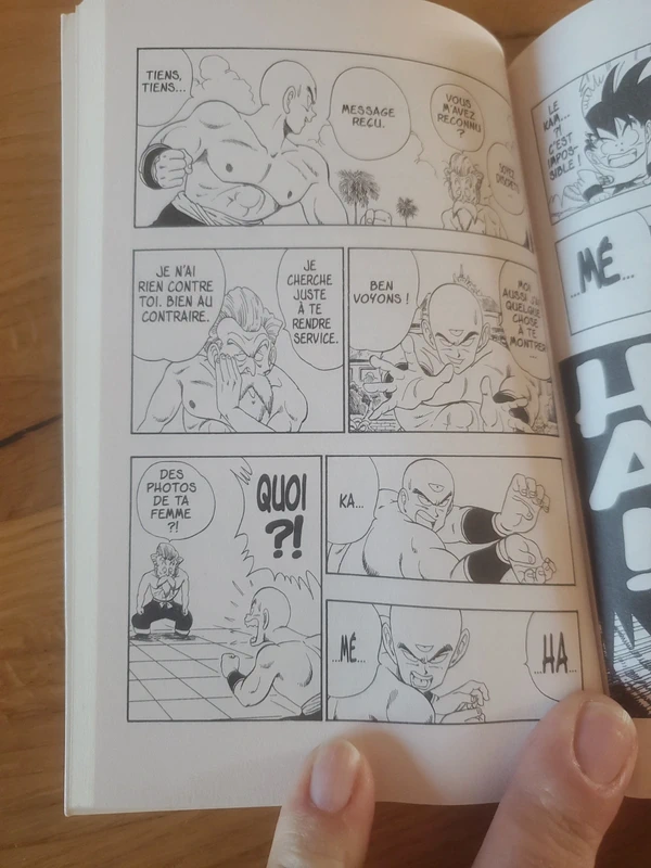 Manga Dbz numero 11. - photo numéro 4