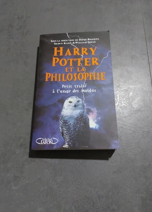 Livre Harry Potter et la philosophie, zustand: Sehr gut, 4,00 €, 4,90 € inklusive Vinted-Käuferschutz