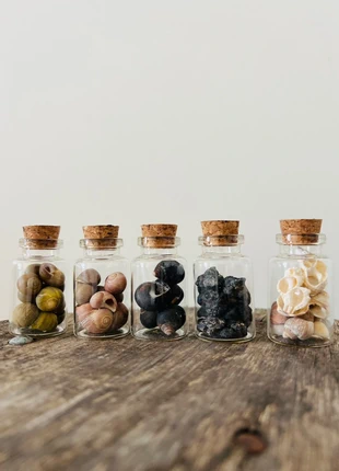 Lot de 5 Mini Bouteilles Décoratives - Collection Coquillages, marca: Plage, estado: Nuevo con etiquetas, 5,00 €, 5,95 € Protección al comprador incluida