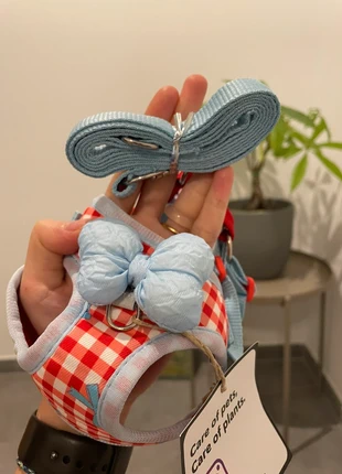 Cute Pet Harness & Leash Set, état: Neuf sans étiquette, taille: S, 8,00 €, 9,10 € Protection acheteurs incluse