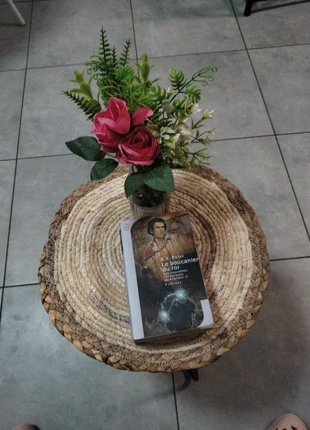 🍂🍁 Le boucanier du roi 🍁🍂, état: Très bon état, 4,00 €, 4,90 € Protection acheteurs incluse