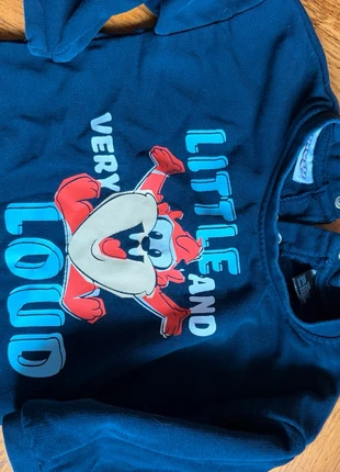 Pullover, marke: Sonstiges, zustand: Gut, größe: 9-12 Monate / 74, 2,00 €, 2,80 € inklusive Vinted-Käuferschutz