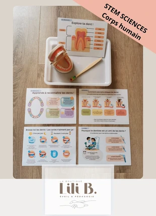 Stem sciences kit dentition anatomie dent apprentissage hygiène buccodentaire brossage des dents, brand: LaboutiqueLiliB, condition: Very good, size: 3 years / 98 cm, €14.90, €16.35 includes Buyer Protection Pro
