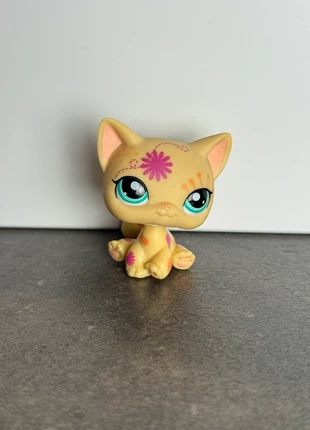 LPS chat européen jaune carte postale #1231, brand: Petshop, condizioni: Ottime, taglia: Taglia unica, €12.00, €13.30 include la Protezione acquisti