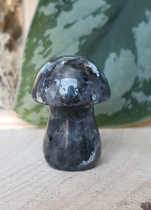 Decoratie larvikiet paddestoel, merk: larvikiet, staat: Heel goed, € 5,00, € 5,95 inclusief Kopersbescherming