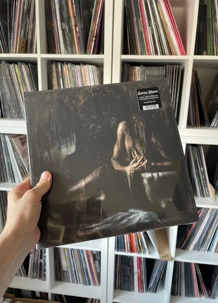 Lorna Shore I Feel The Everblack Festering Within Me 2XLP, état: Neuf avec étiquette, 40,00 €, 42,70 € Protection acheteurs (Pro) incluse