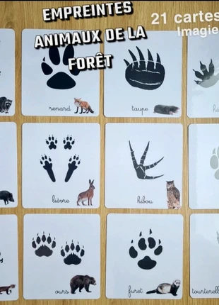 21 imagier cartes sur les Empreintes des animaux de la forêt/ cartes de nomenclature, brand: imagier, carte de nomenclatures, condition: Very good, size: 4 years / 104 cm, €12.39, €13.71 includes Buyer Protection Pro