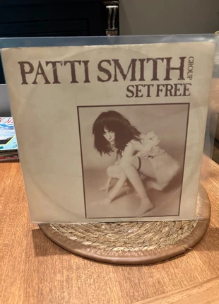Vinyl 33t patti smith, estado: Muy bueno, 8,00 €, 9,10 € Protección al comprador incluida