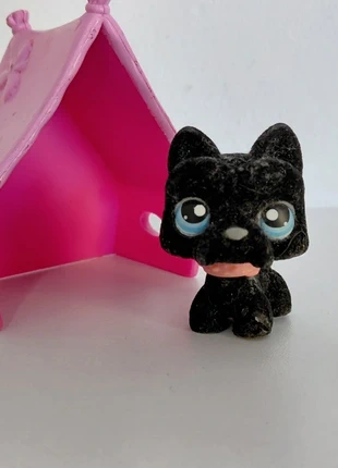 Littlest Petshop chien #315, merk: Petshop, staat: Goed, maat: Universeel, € 10,00, € 11,20 inclusief Kopersbescherming Pro