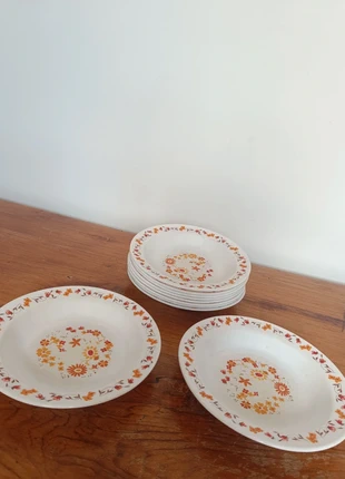 Lot de 10 assiettes creuses Arcopal – Modèle Flore, marca: Arcopal, estado: Satisfactorio, 10,00 €, 11,20 € Protección al comprador Pro incluida