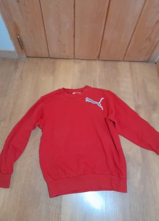 Pull puma, brand: Puma, condition: Very good, size: S, €6.00, €7.00 includes Buyer Protection