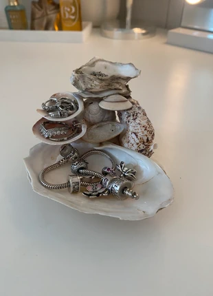 Shell jewelry holder, marque: zelf gemaakt, état: Neuf sans étiquette, 9,50 €, 10,68 € Protection acheteurs incluse