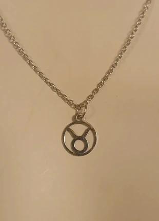 Collier argenté en acier inoxydable signe astrologique taureau, état: Neuf sans étiquette, 5,00 €, 5,95 € Protection acheteurs incluse