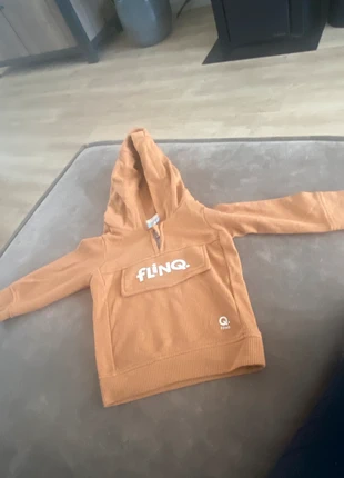 Sweater Flinq, maat 74., marque: Flinq, état: Très bon état, taille: 9-12 mois / 74 cm, 3,00 €, 3,85 € Protection acheteurs incluse