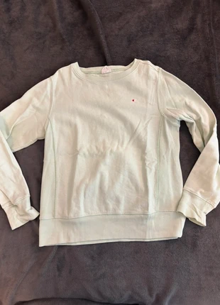 Sweat-shirt vert pastel, brand: Champion, condition: Good, size: L / 40 / 12, €25.00, €26.95 includes Buyer Protection