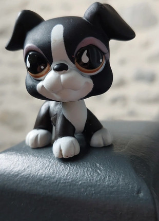 Pet shop chien boxer, marque: Littlest Pet Shop, état: Bon état, taille: Taille unique, 2,00 €, 2,80 € Protection acheteurs incluse