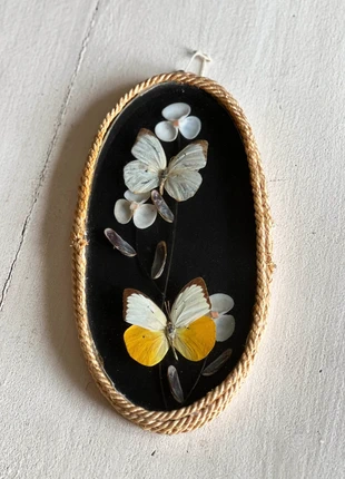 🌿 Cadre vintage papillons naturalisés sous verre, merk: Fait Main, staat: Goed, € 20,00, € 21,70 inclusief Kopersbescherming