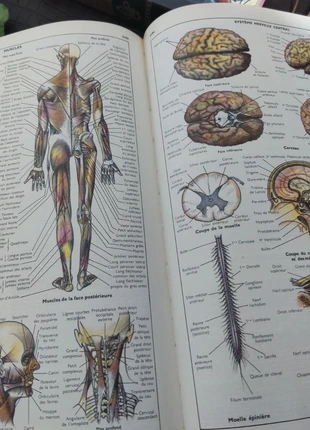 Dictionnaire Encyclopédique Quillet - 8 Tomes - 1968 / Livre ancien, état: Très bon état, 55,00 €, 58,45 € Protection acheteurs (Pro) incluse