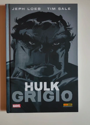 Hulk Grigio di Jeph Loeb e Tim Sale, état: Très bon état, 19,00 €, 20,65 € Protection acheteurs incluse