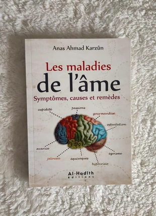 Les maladies de l’âme symptômes causes et remèdes, zustand: Sehr gut, 8,90 €, 10,05 € beinhaltet Vinted-Käuferschutz Pro