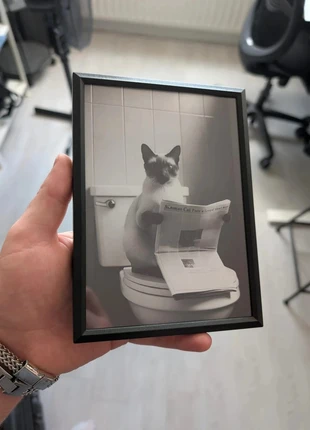 Siamese kat op wc ingelijste poster, marque: Siamese kat op wc, état: Très bon état, 9,99 €, 11,19 € Protection acheteurs (Pro) incluse