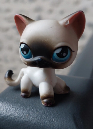 Pet shop chat européen, marque: Littlest Pet Shop, état: Satisfaisant, taille: Taille unique, 2,50 €, 3,33 € Protection acheteurs incluse