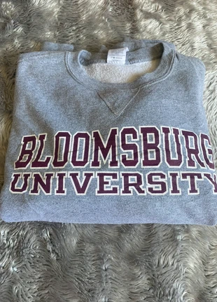 Pull Blooms Burgs University (Russel Athletic), brand: Russel Athletic, condition: Very good, size: M, €10.00, €11.20 includes Buyer Protection
