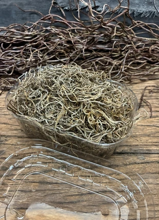 Bakje gedroogde tillansia, staat: Nieuw zonder prijskaartje, € 4,50, € 5,43 inclusief Kopersbescherming Pro