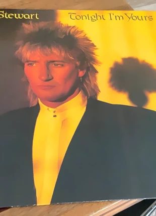 Vinyl LP Rod Stewart - tonight I’m yours 1981 Warner Bros Germany, staat: Heel goed, € 3,99, € 4,89 inclusief Kopersbescherming
