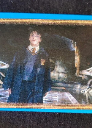 Harry Potter and the Chambers of Secrets Panini Stickers #185, marca: Harry Potter, estado: Muito bom, €1.00, €1.75 inclui Proteção do Comprador