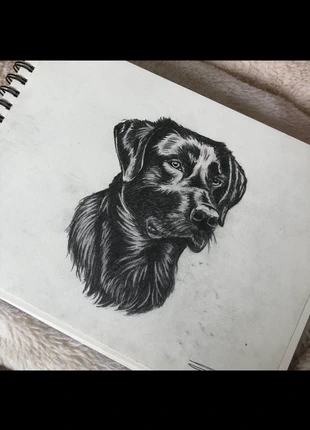 Dessins personnalisés – Fanarts, portraits, animaux, marque: Fait Main, état: Neuf avec étiquette, 25,00 €, 26,95 € Protection acheteurs incluse