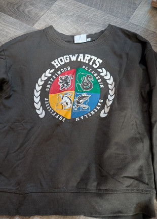 Pullover Harry Potter, marque: Harry Potter, état: Très bon état, taille: 9 ans / 134 cm, 4,00 €, 4,90 € Protection acheteurs incluse