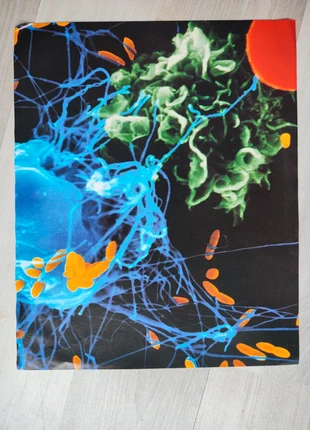 Poster, marque: NO LABEL, état: Très bon état, 5,00 €, 5,95 € Protection acheteurs incluse