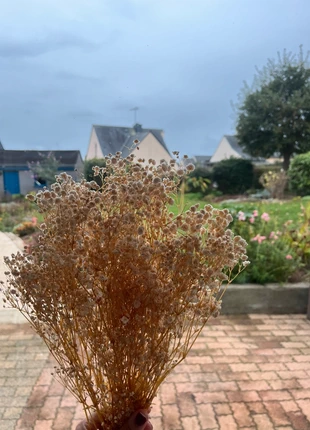 Gypsophile Blanche, marke: Fait Main, zustand: Neu, mit Etikett, 3,60 €, 4,48 € inklusive Vinted-Käuferschutz