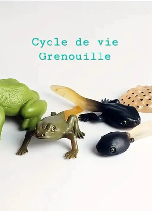 Figurines cycle de vie de la Grenouille, brand: Montessori, condition: New with tags, size: 3 years / 98 cm, €6.10, €7.11 includes Buyer Protection Pro