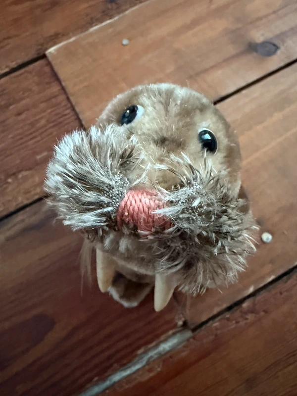 Peluche rigide très ancienne Morse Paddy Steiff 14cm collection vintage - photo numéro 4