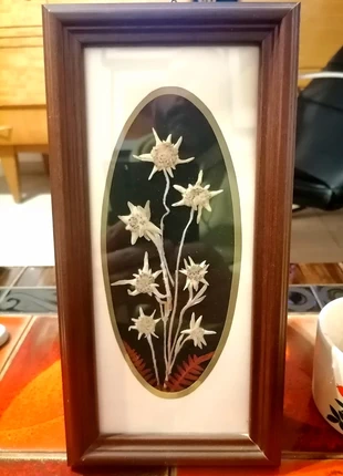 Cadre edelweiss séchés 14,1x28,2, marque: Vintage Chic, état: Très bon état, 7,00 €, 8,05 € Protection acheteurs incluse