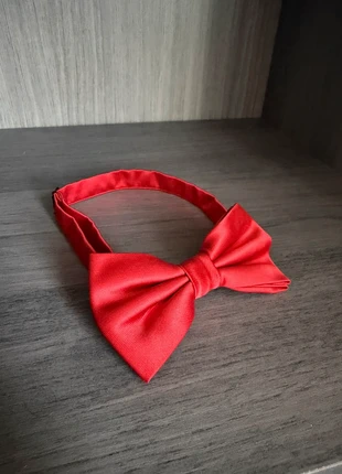 Nœud papillon, état: Très bon état, 2,00 €, 2,80 € Protection acheteurs incluse