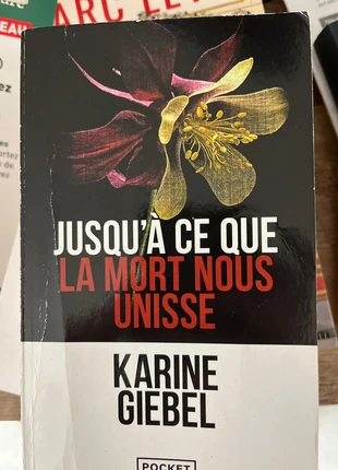Karine Giebel jusqu’à ce que la mort nous unisse, état: Très bon état, 3,00 €, 3,85 € Protection acheteurs incluse