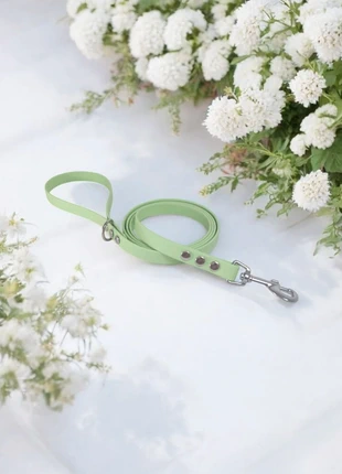 Laisse en biothane 1,50 M, staat: Heel goed, maat: Overige, € 15,00, € 16,45 inclusief Kopersbescherming Pro