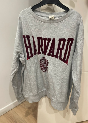 Pull harvard, marke: H&M, zustand: Sehr gut, größe: M / 38 / 10, 1,50 €, 2,28 € inklusive Vinted-Käuferschutz