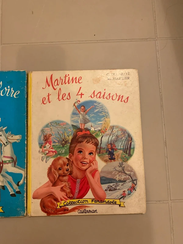 Lot deux livres vintage Martine - photo numéro 3