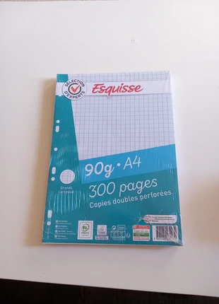 📚 Copies doubles perforées format A4 - grands carreaux – 90g, marque: Esquisse, état: Neuf sans étiquette, 1,50 €, 2,28 € Protection acheteurs incluse