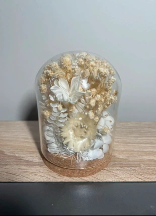 Bocal de fleurs stabilisées beige/crème, marque: Handmade, état: Neuf avec étiquette, 12,00 €, 13,30 € Protection acheteurs incluse