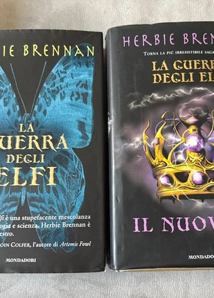 2 Libri Fantasy: La guerra degli Elfi e Il nuovo re, staat: Heel goed, € 12,00, € 13,30 inclusief Kopersbescherming