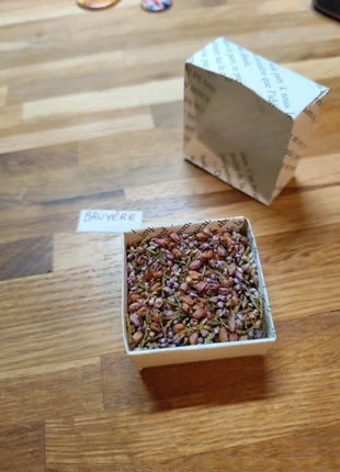 Bruyère violette séchée, marque: sans, état: Neuf sans étiquette, 1,00 €, 1,75 € Protection acheteurs incluse